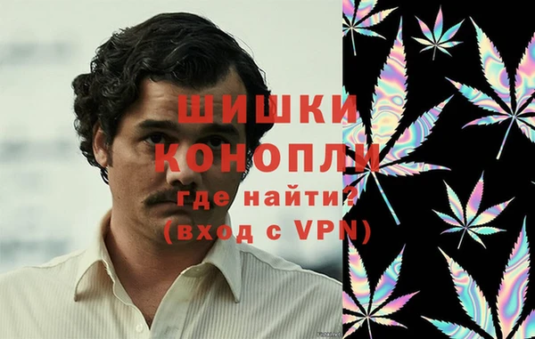бутират Белокуриха