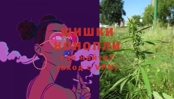 бутират Белокуриха