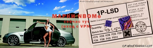 индика Балахна