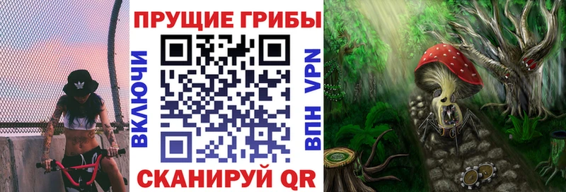 Галлюциногенные грибы мухоморы  Заинск 
